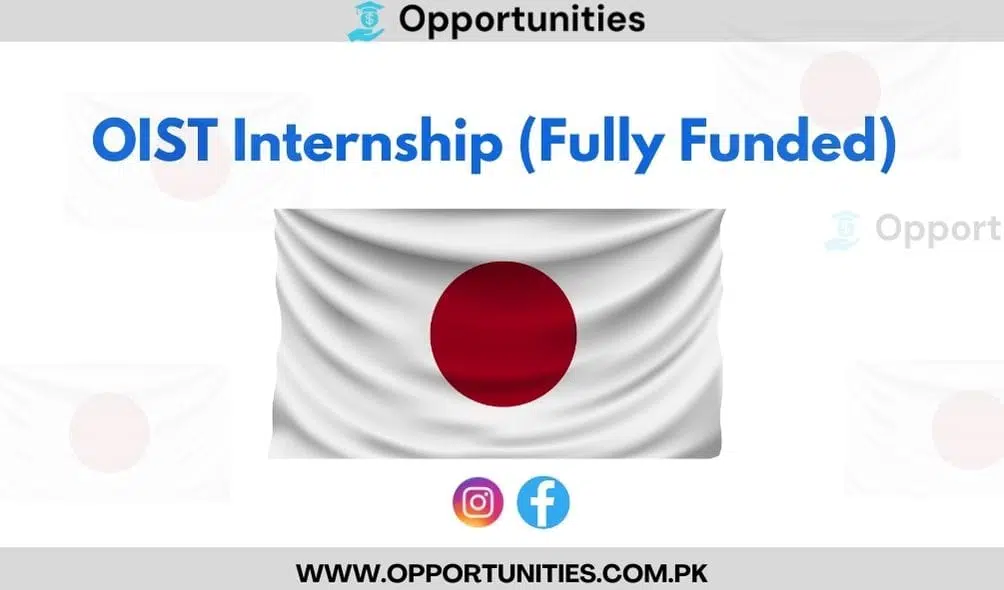 internship oist